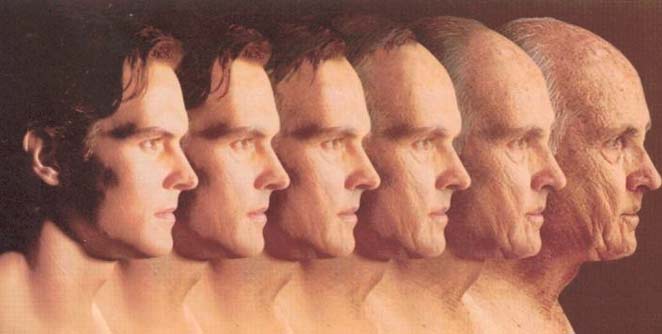 anti-aging
