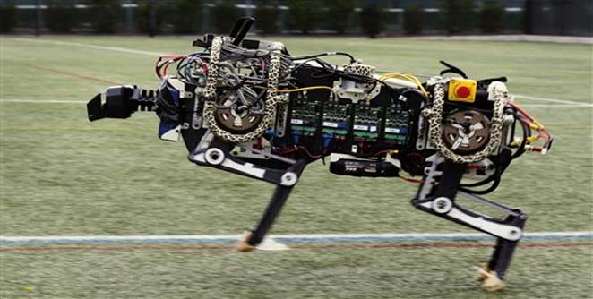 robot
