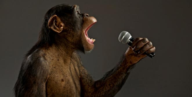 monkey