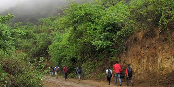 eco-tourism