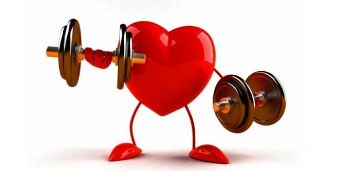 heart