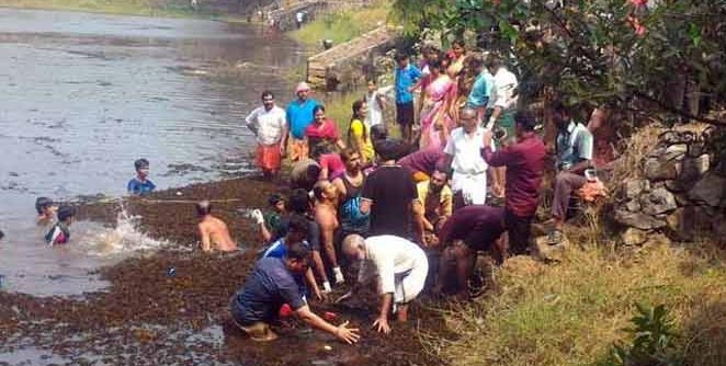 kerala