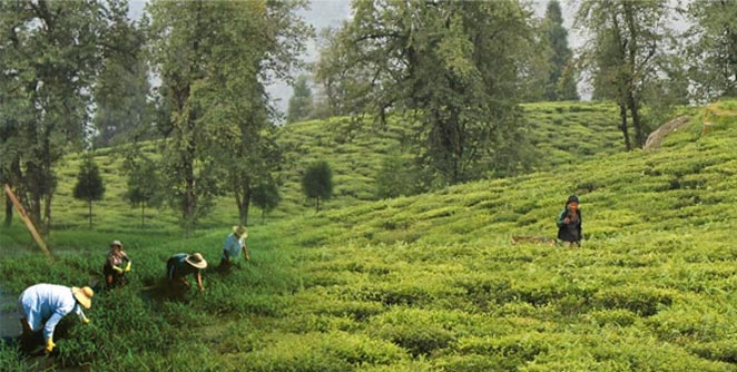 sikkim