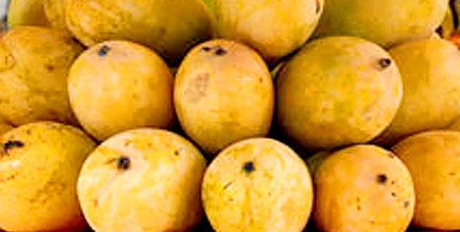 mango