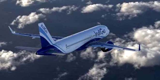 indigo