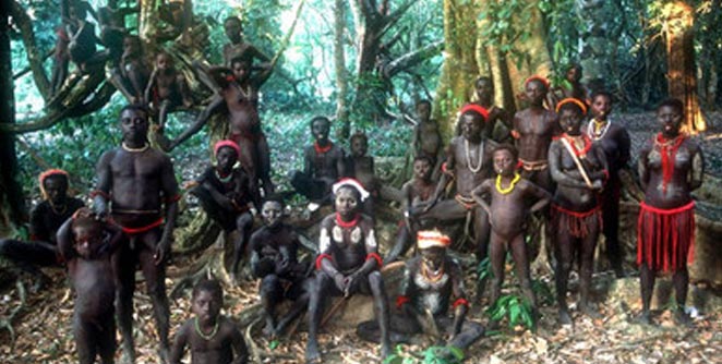 jarwa