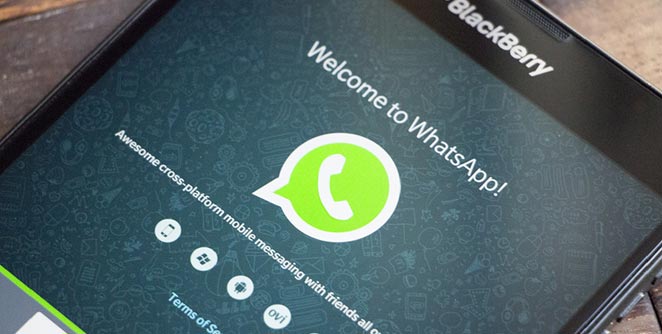 whatsapp