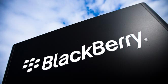 blackberry