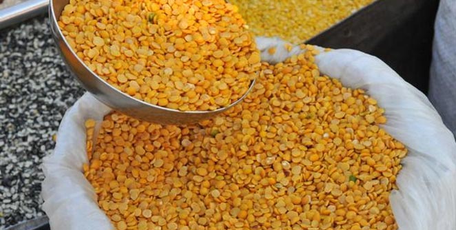 turdal