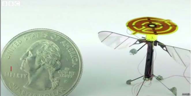 robo-bee