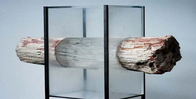 wood