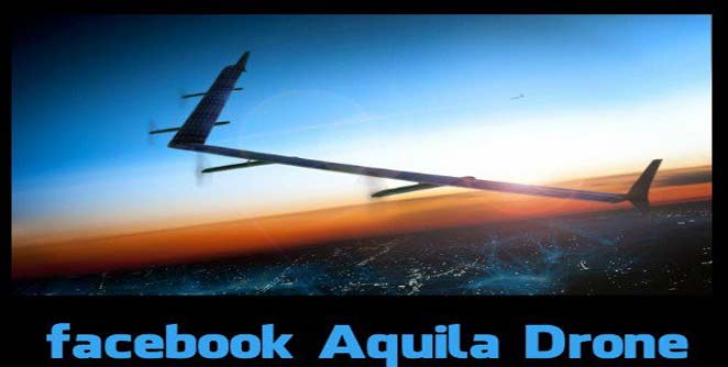 aquila