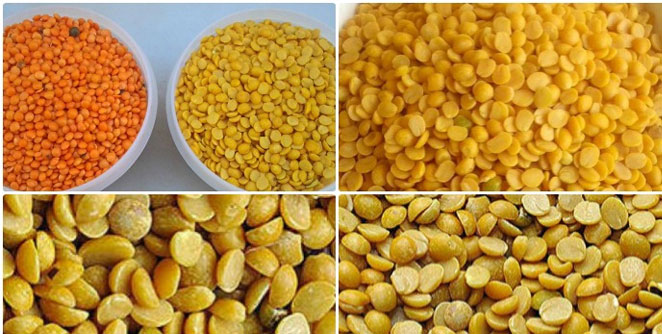 dal
