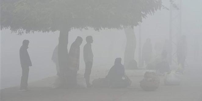 fog
