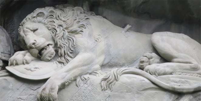 lion