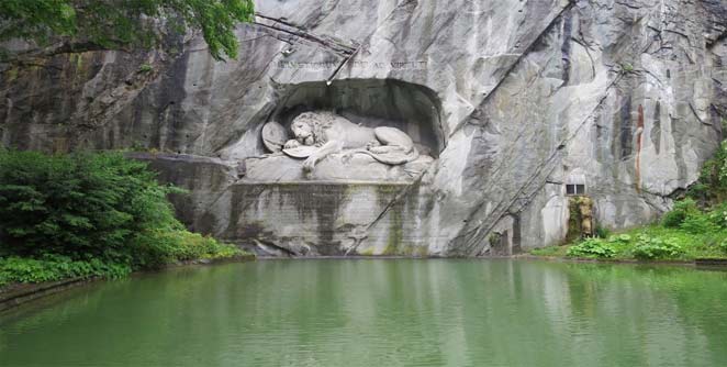lion1