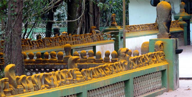 mannar