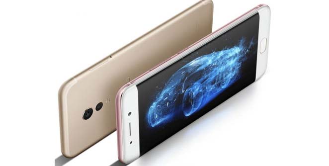 vivo
