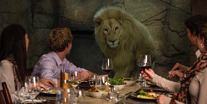 lion