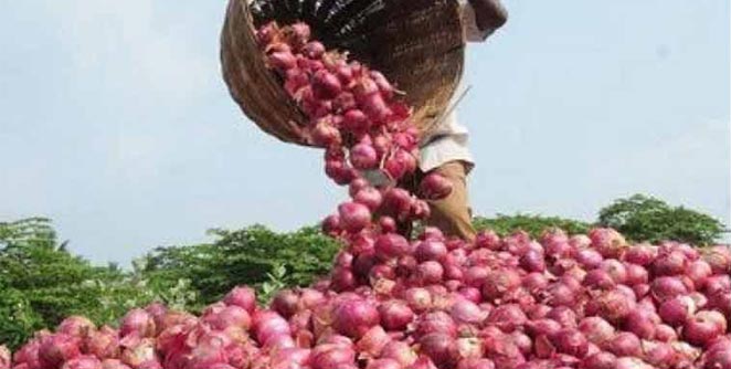 onion
