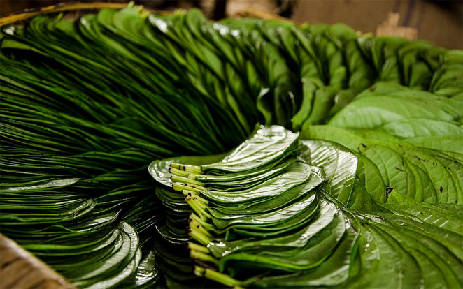 Image result for à¤µà¤¿à¤¡à¥à¤¯à¤¾à¤à¥ à¤ªà¤¾à¤¨à¥