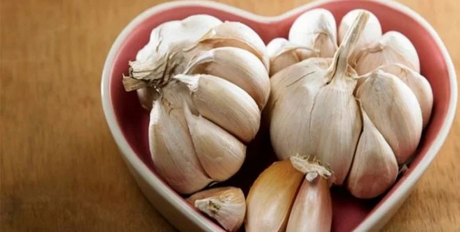 garlic1