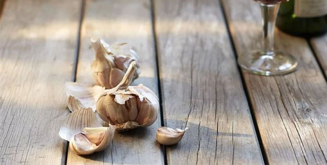 garlic2