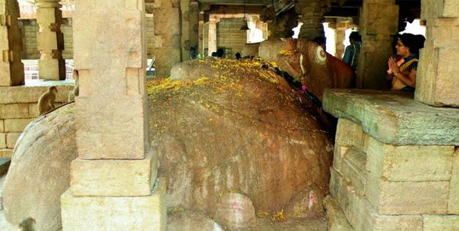 nandi