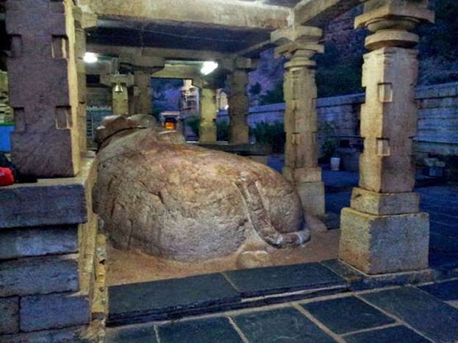 nandi1