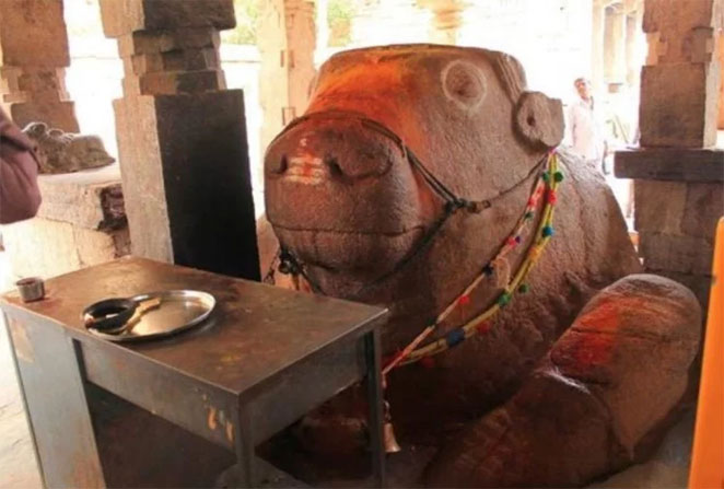 nandi3