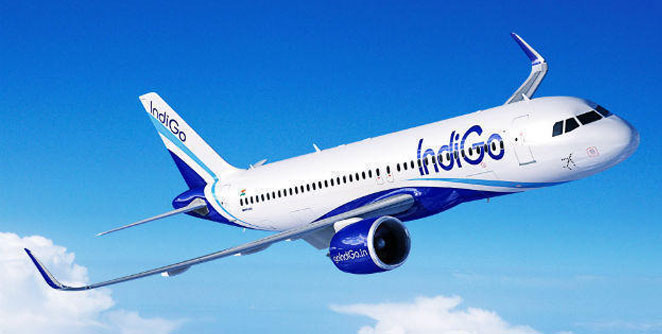 indigo