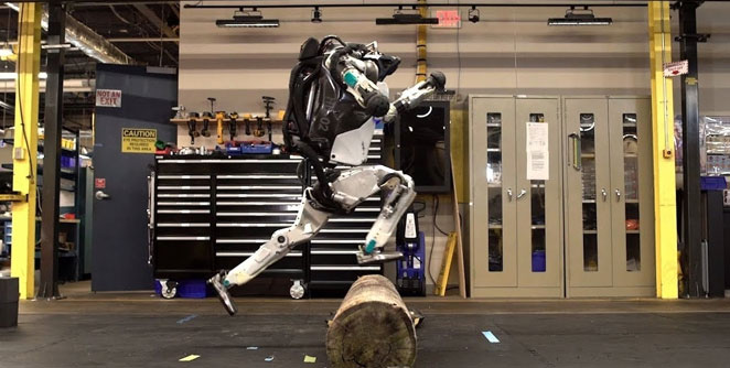 robot