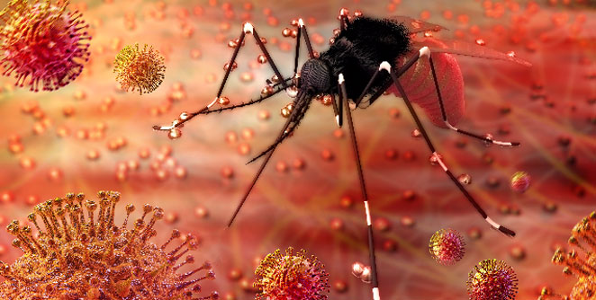 zika