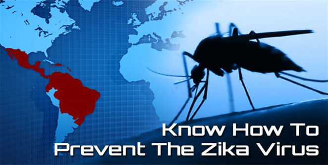 zika1
