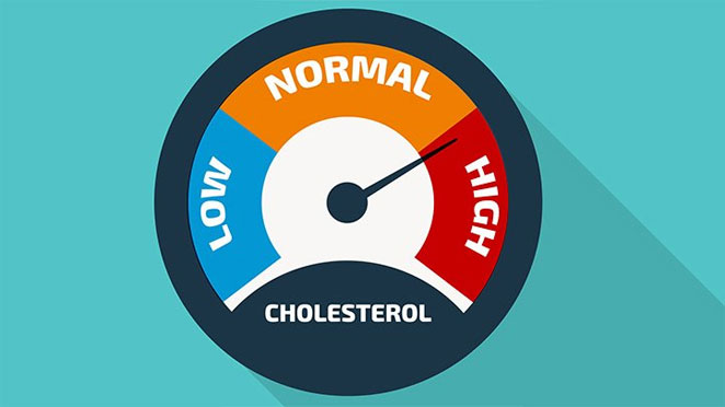 cholesterol1