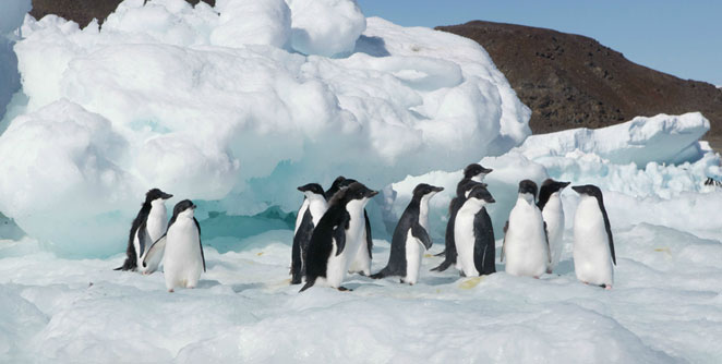 Antarctica1