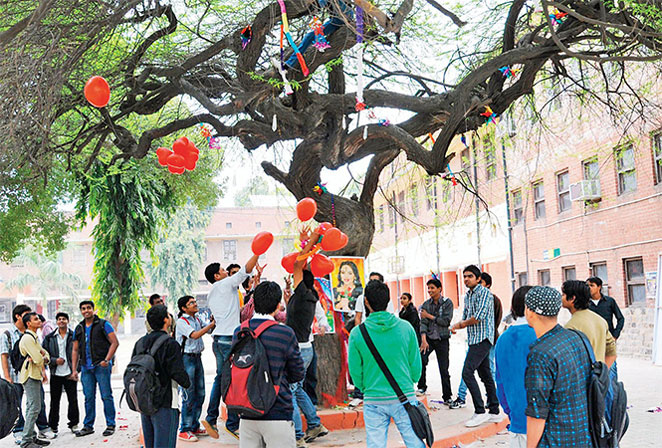 Virgin-tree2