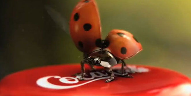 coca