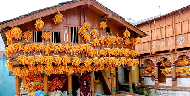 corn