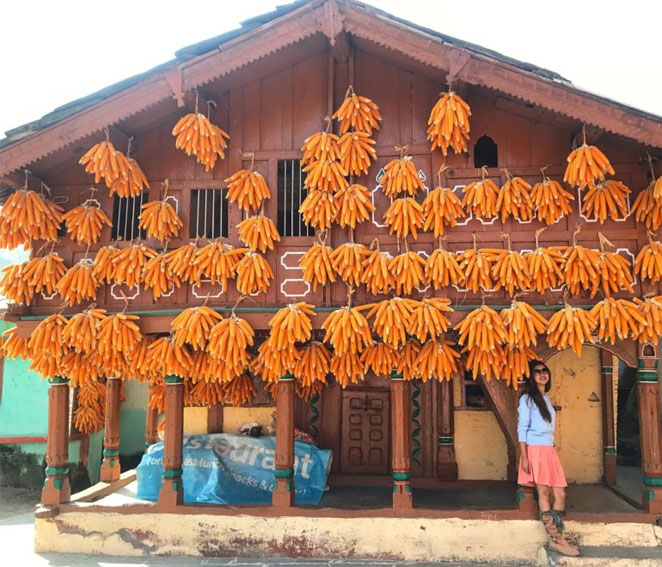 corn1