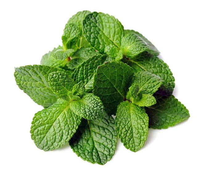 herbal3