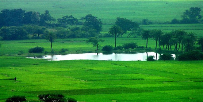 jhilimili