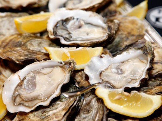 oyster2