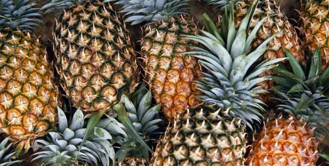 pineapple