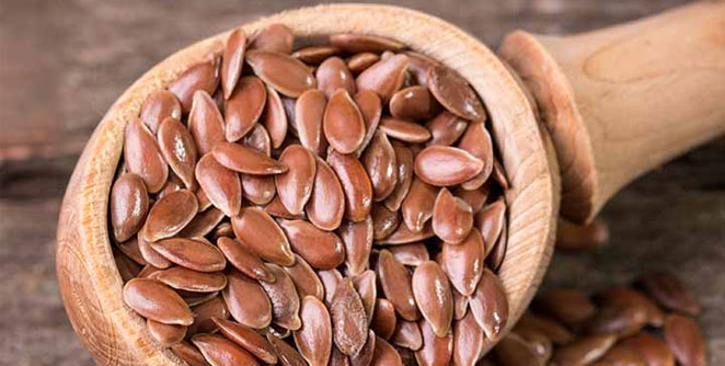 seed