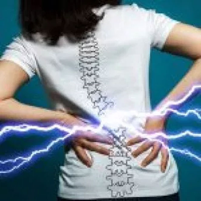 spine1
