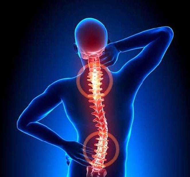 spine3