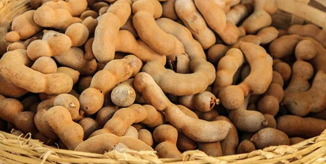 tamarind