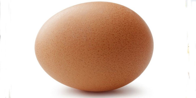 Egg
