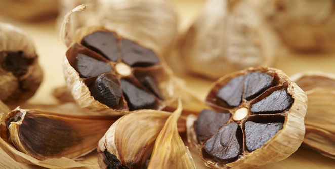 Garlic
